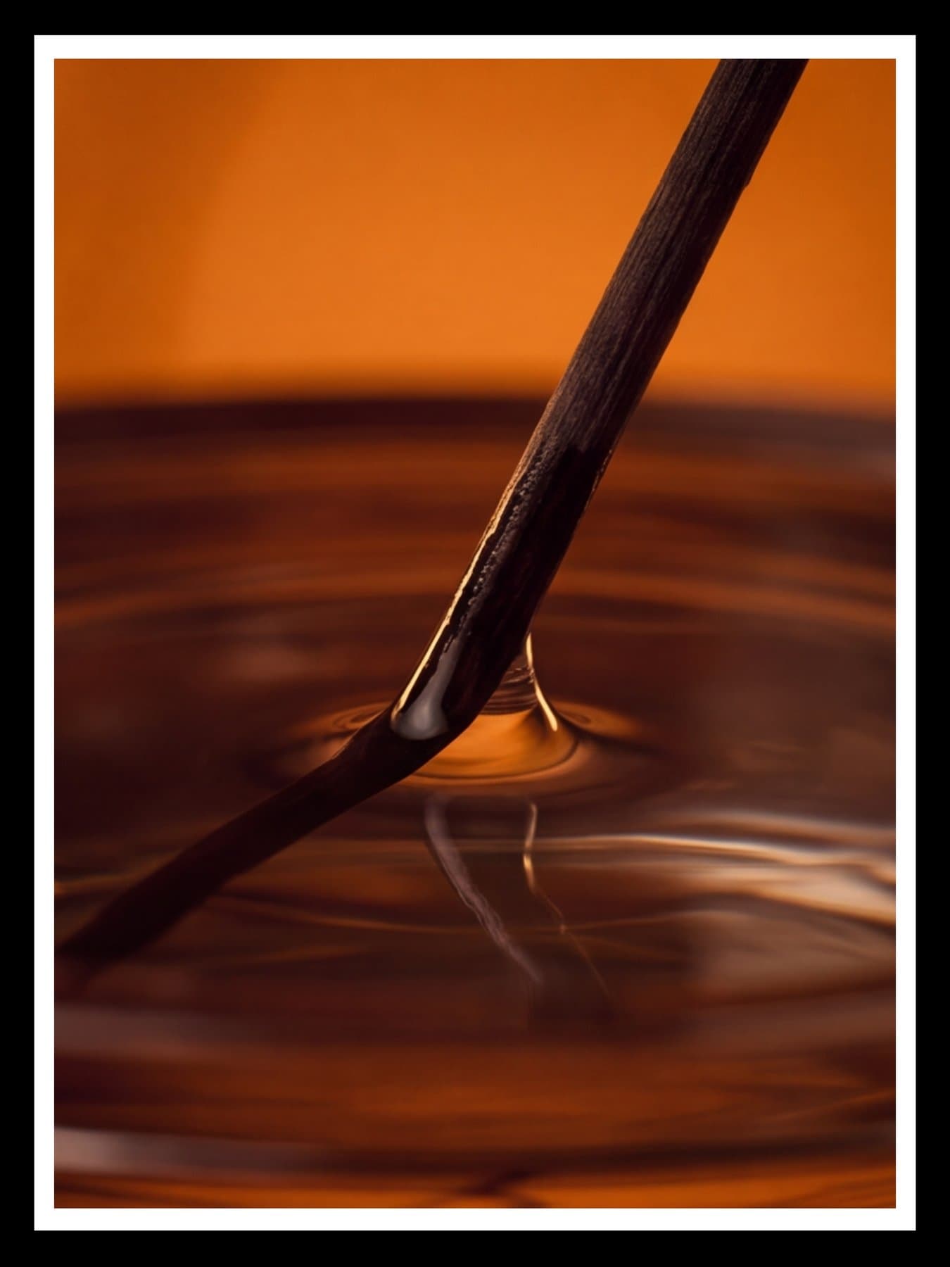 A single reed meeting the oil