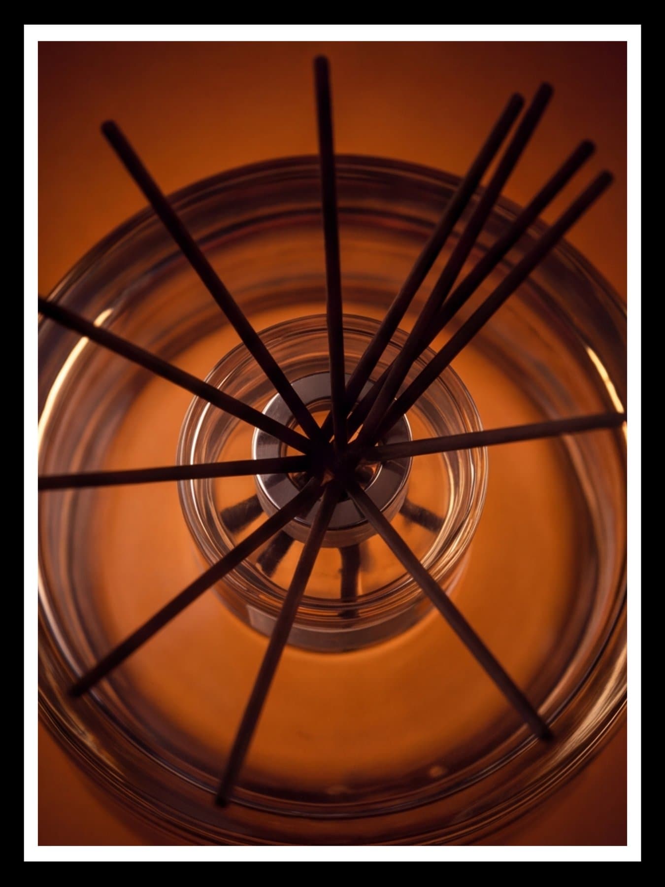 The reeds from above, fanned in the glass