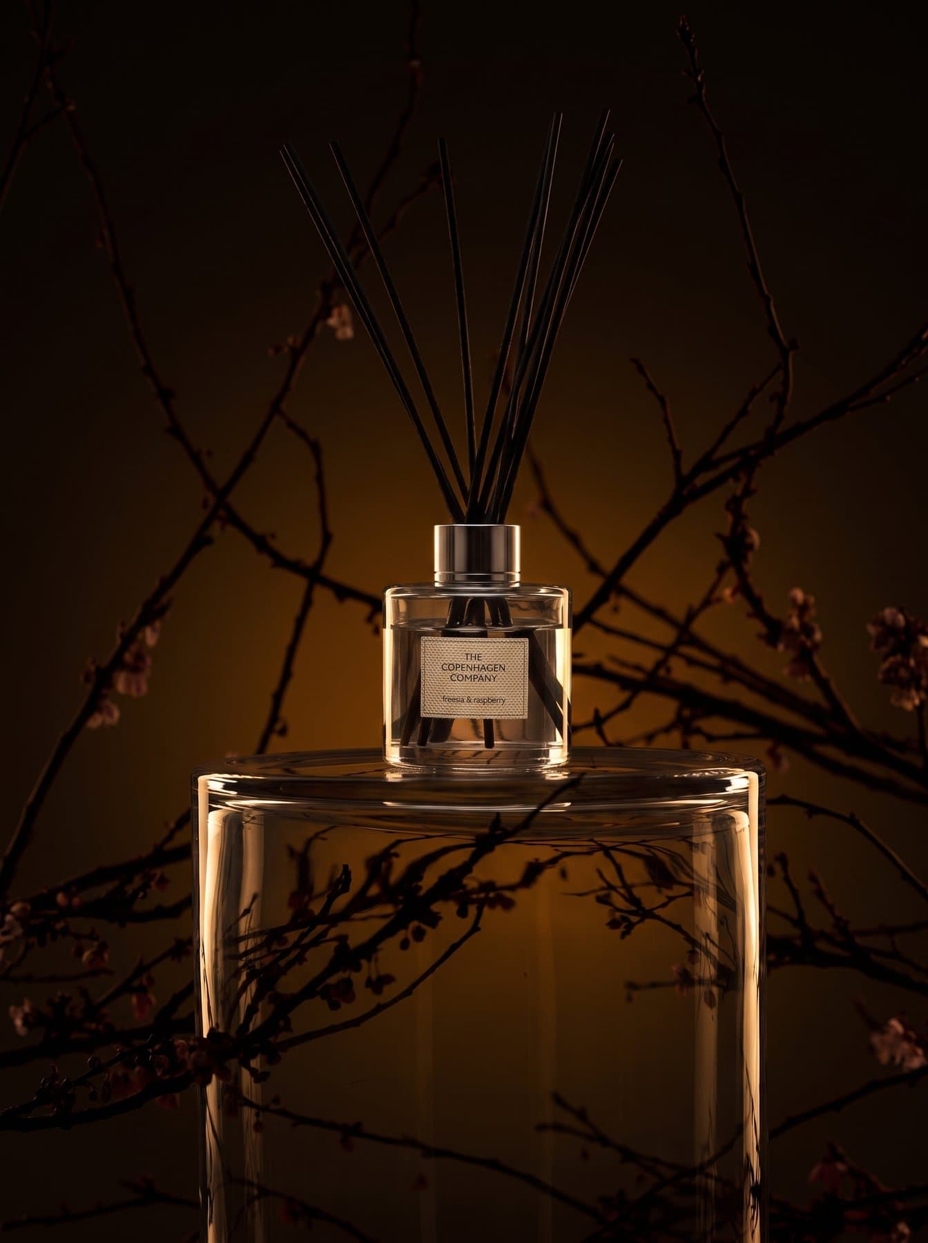 A Signature reed diffuser on a glass block among bare branches, in amber light