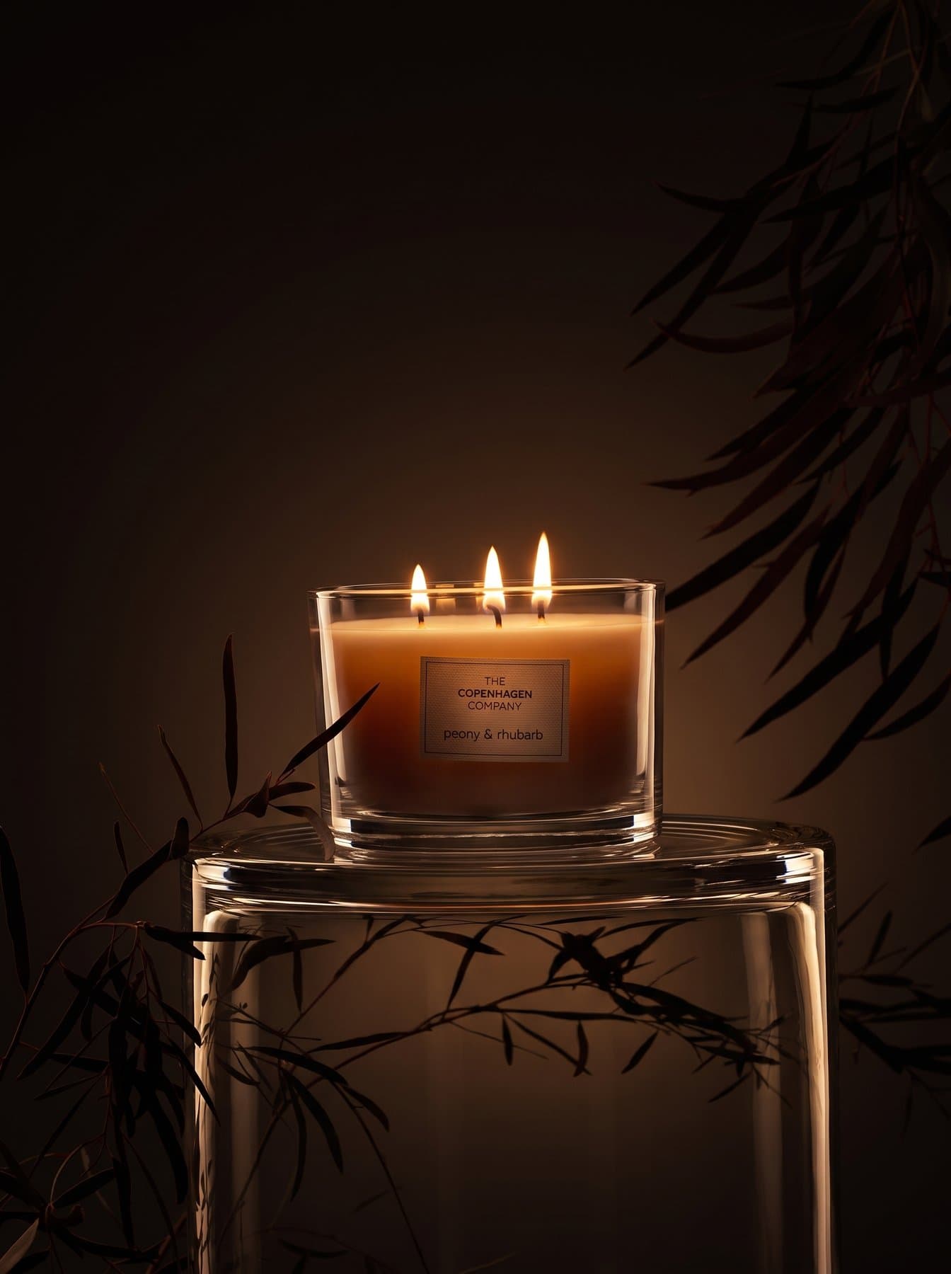 A Signature candle beside a fern