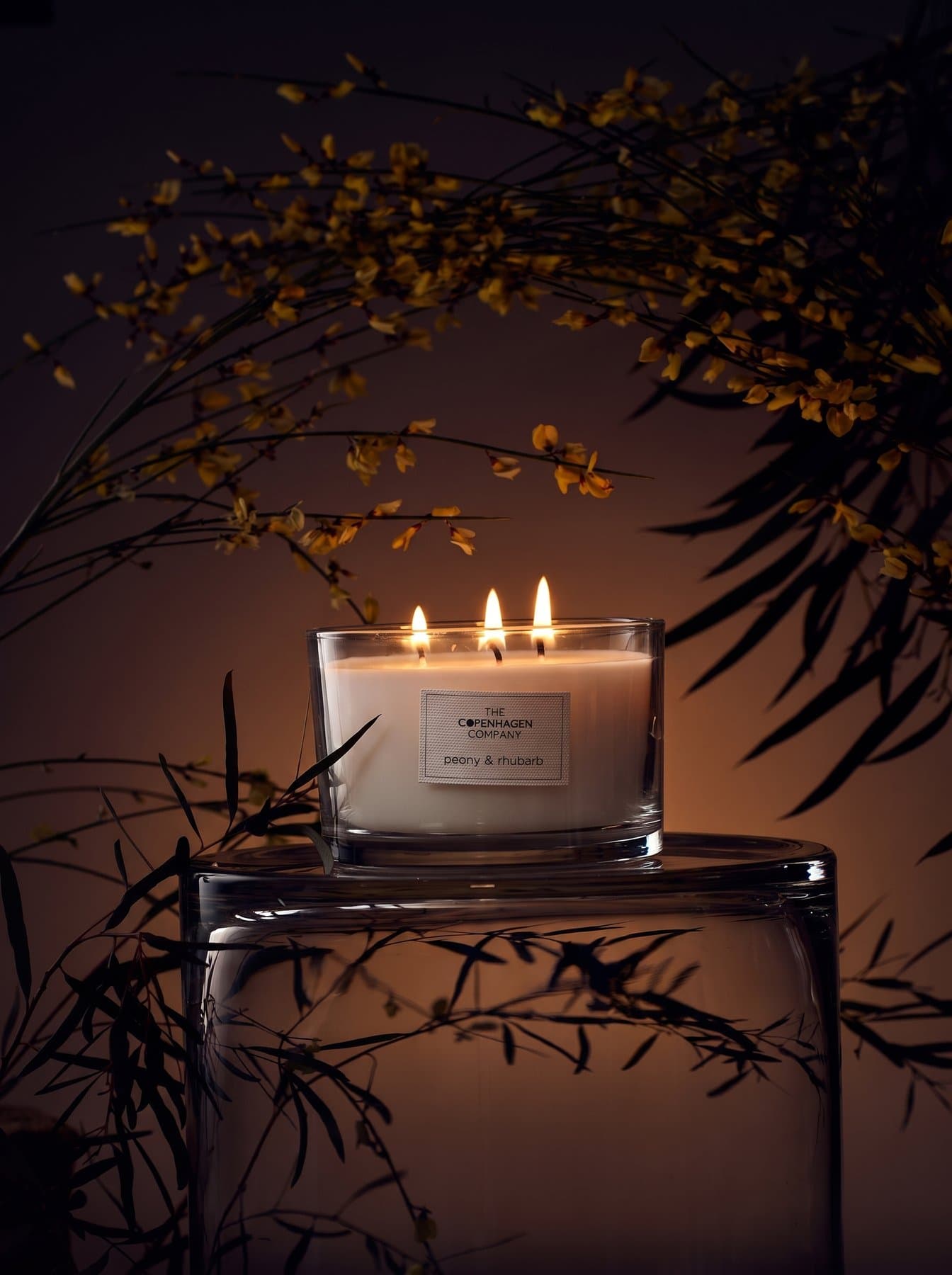 A Signature candle under a branch of mimosa