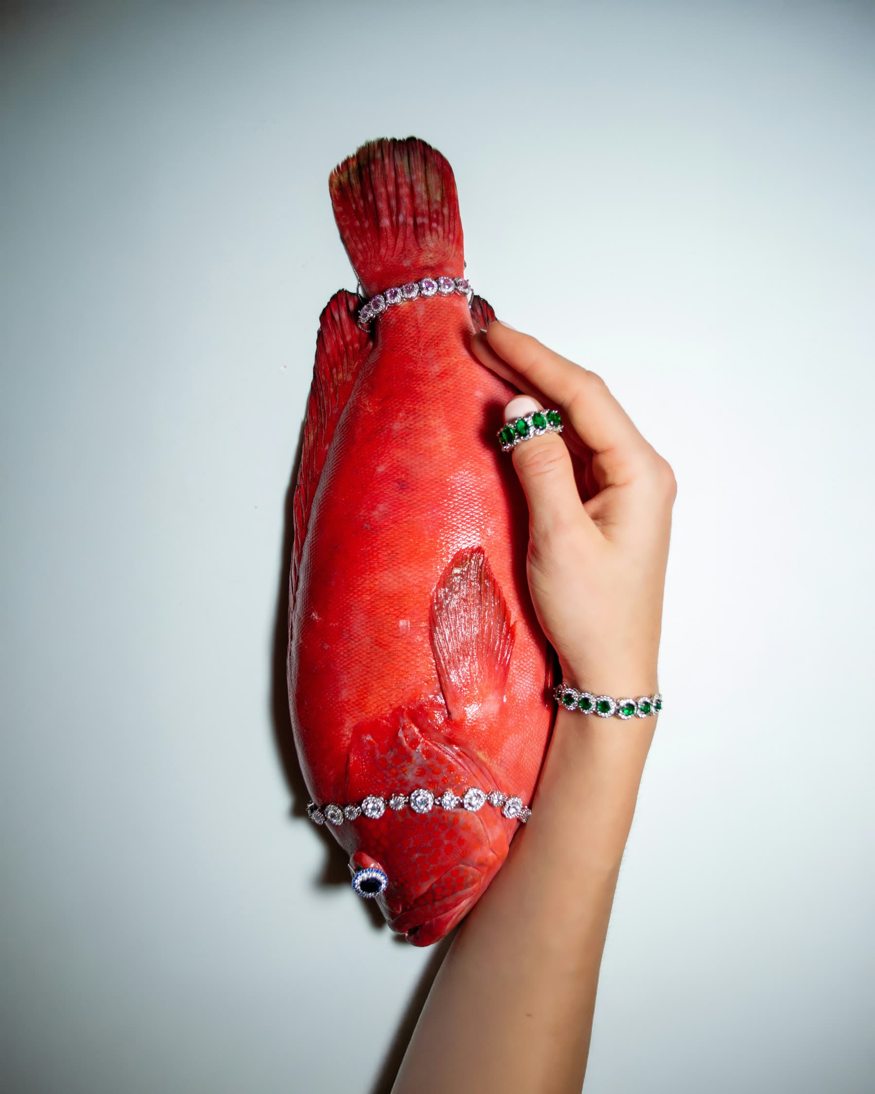 A ringed hand holding a red fish against white